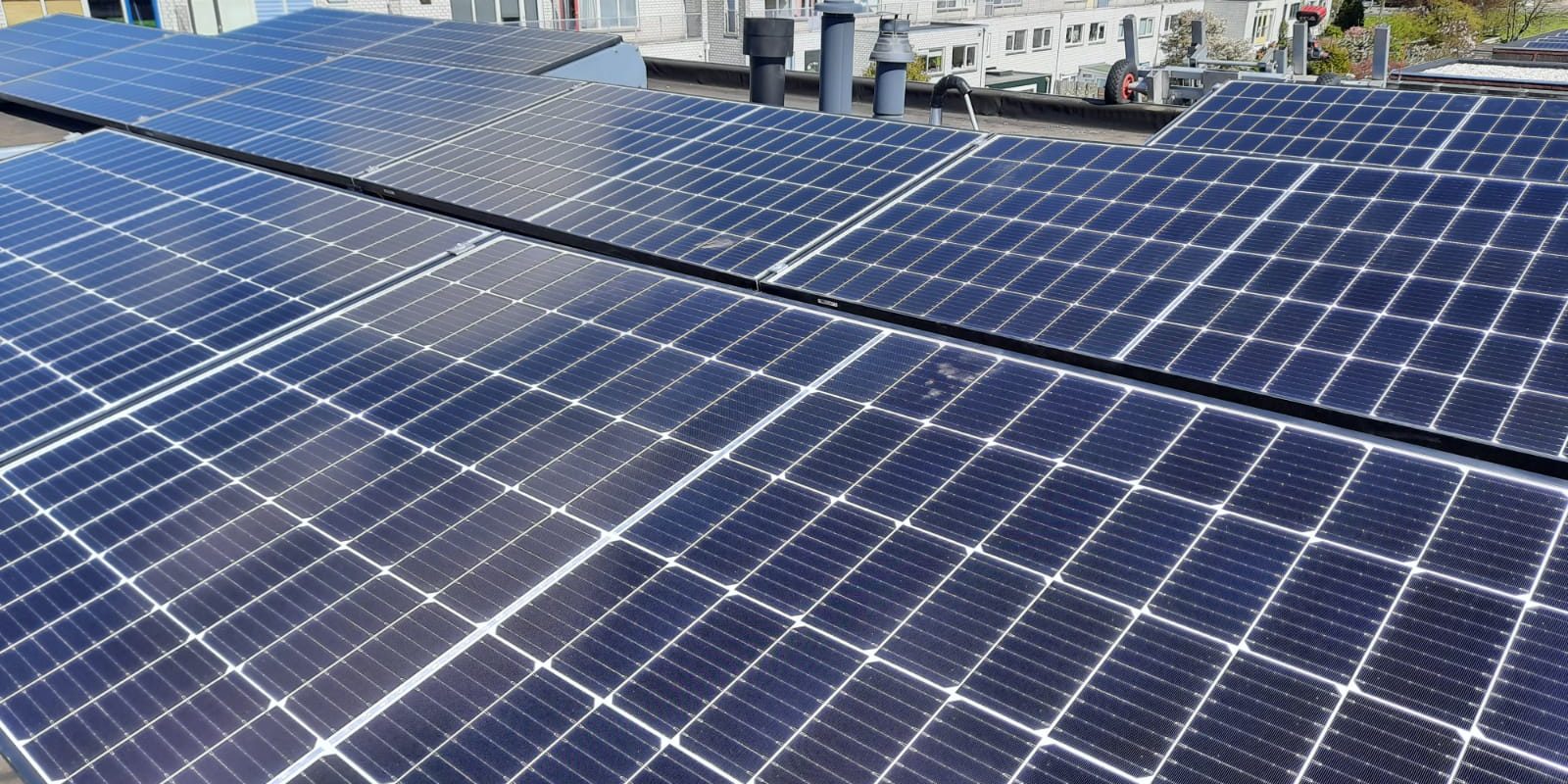 platte dak groningen